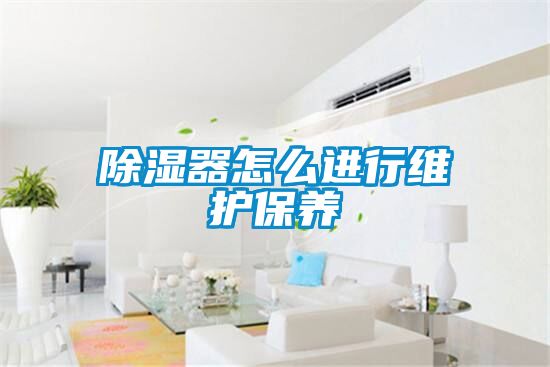 除湿器怎么进行维护保养
