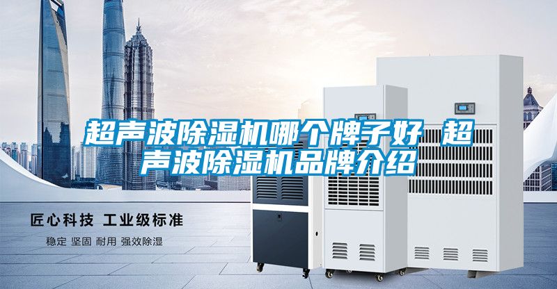 超声波除湿机哪个牌子好 超声波除湿机品牌介绍
