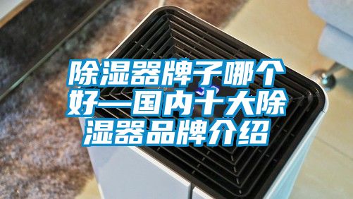 除湿器牌子哪个好—国内十大除湿器品牌介绍