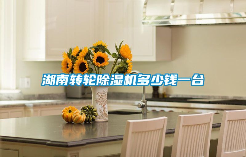 湖南转轮除湿机多少钱一台