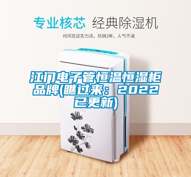 江门电子管恒温恒湿柜品牌(瞧过来：2022已更新)