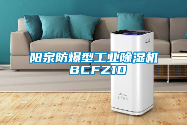 阳泉防爆型工业除湿机 BCFZ10