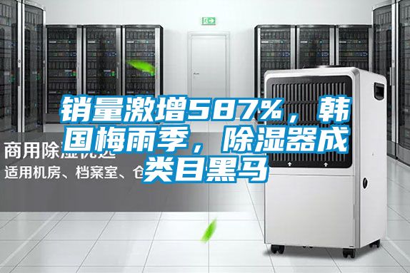 销量激增587%，韩国梅雨季，除湿器成类目黑马