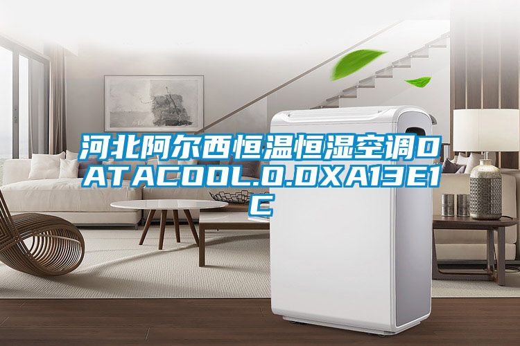 河北阿尔西恒温恒湿空调DATACOOL.O.DXA13E1C