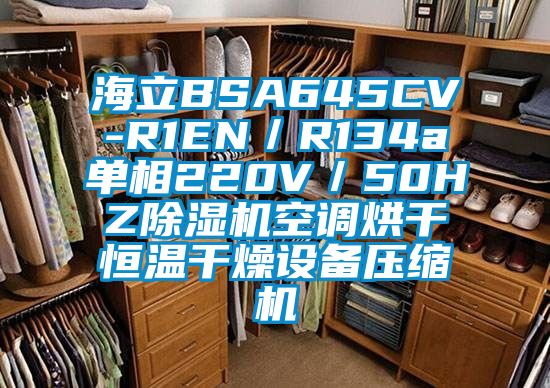 海立BSA645CV-R1EN／R134a单相220V／50HZ除湿机空调烘干恒温干燥设备压缩机