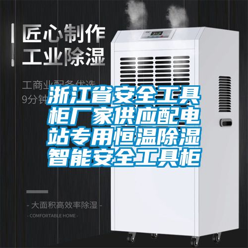 浙江省安全工具柜厂家供应配电站专用恒温除湿智能安全工具柜