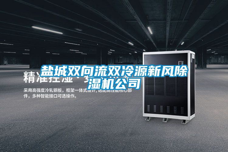 盐城双向流双冷源新风除湿机公司