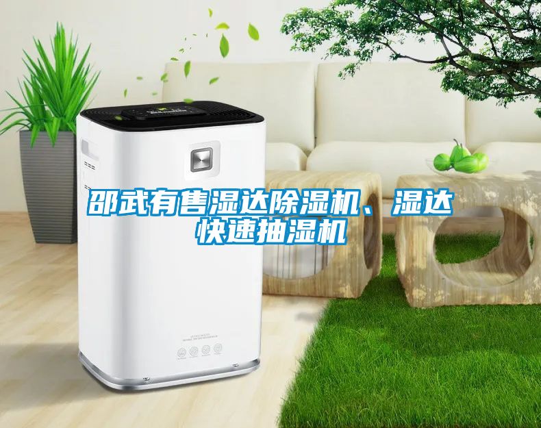 邵武有售湿达除湿机、湿达快速抽湿机