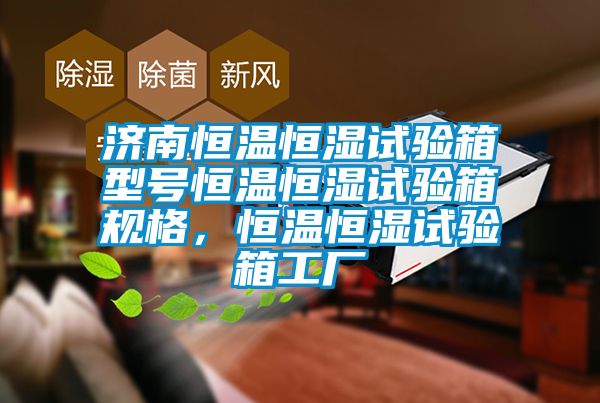 济南恒温恒湿试验箱型号恒温恒湿试验箱规格，恒温恒湿试验箱工厂