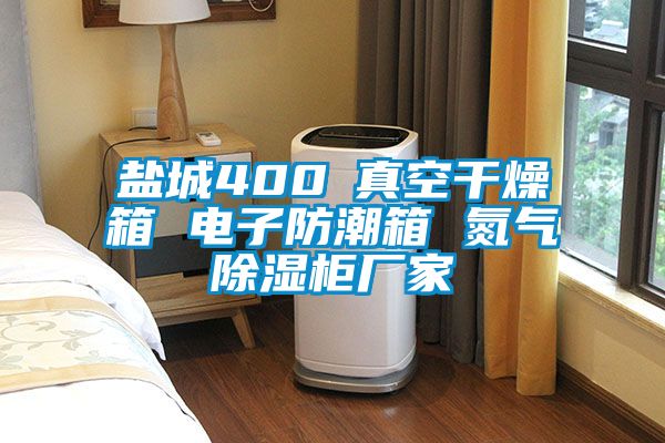 盐城400℃真空干燥箱 电子防潮箱 氮气除湿柜厂家