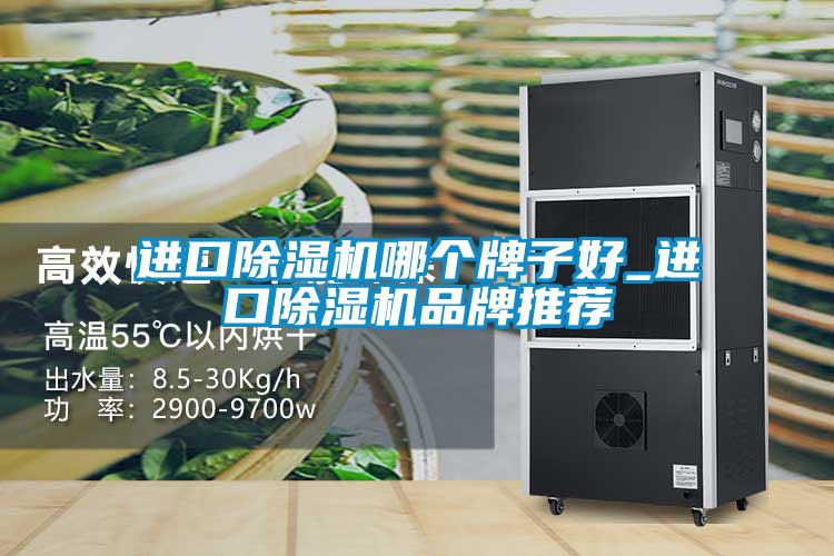 进口除湿机哪个牌子好_进口除湿机品牌推荐