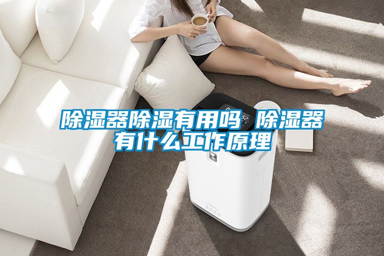 除湿器除湿有用吗 除湿器有什么工作原理