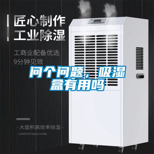 问个问题，吸湿盒有用吗