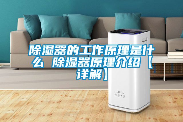 除湿器的工作原理是什么 除湿器原理介绍【详解】