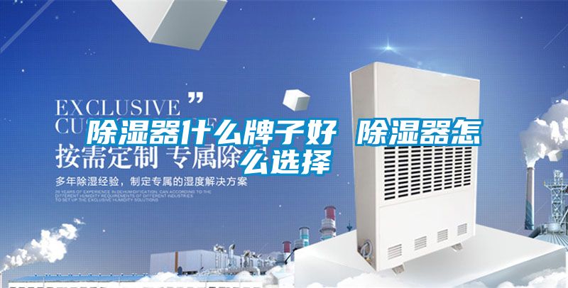 除湿器什么牌子好 除湿器怎么选择