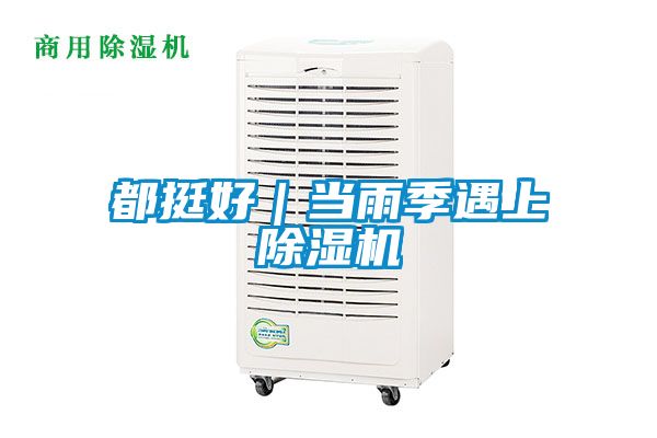 都挺好｜当雨季遇上除湿机