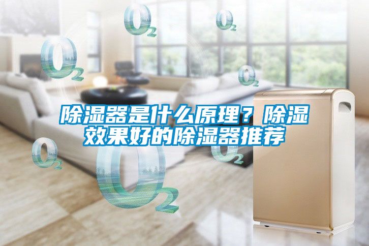 除湿器是什么原理？除湿效果好的除湿器推荐