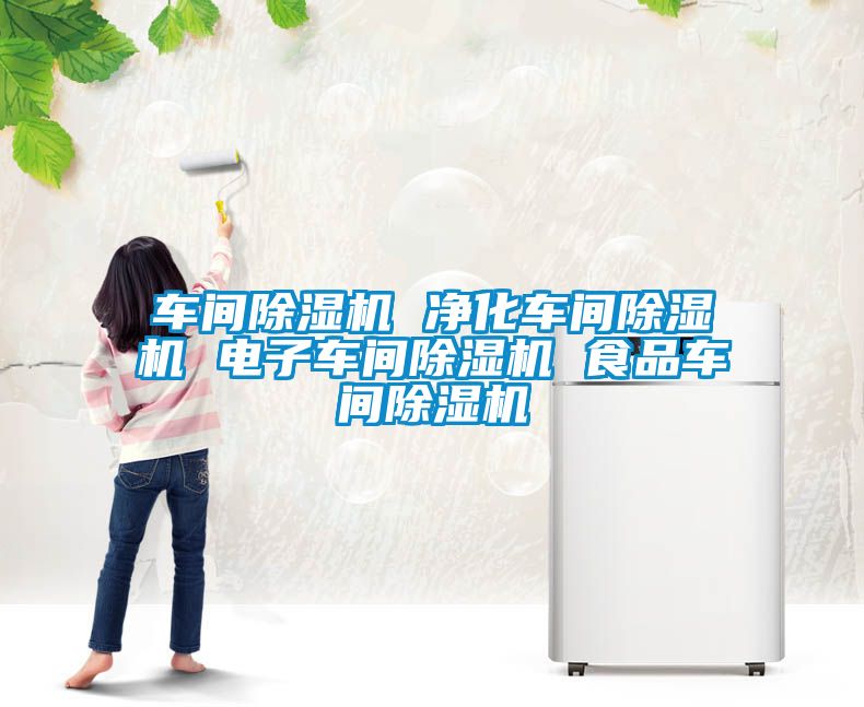 车间除湿机 净化车间除湿机 电子车间除湿机 食品车间除湿机