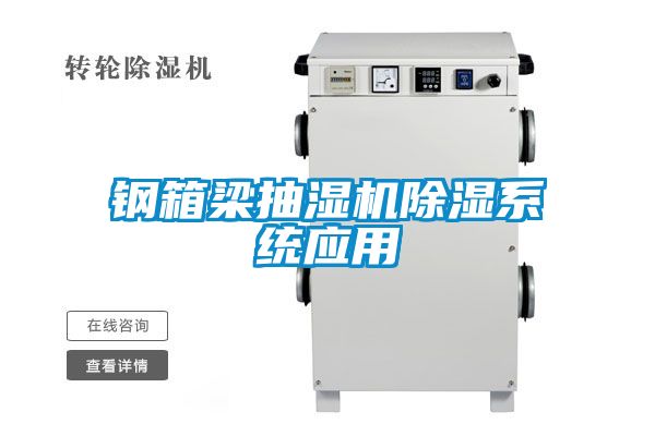 钢箱梁抽湿机除湿系统应用