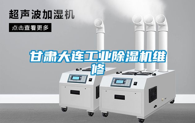 甘肃大连工业除湿机维修