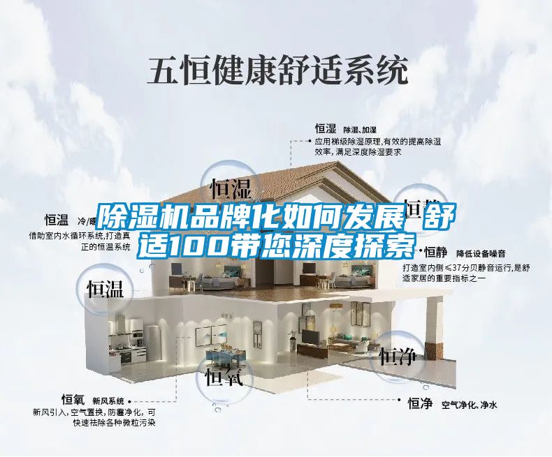 除湿机品牌化如何发展　　舒适100带您深度探索
