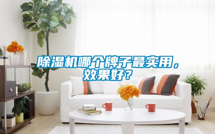 除湿机哪个牌子最实用，效果好？