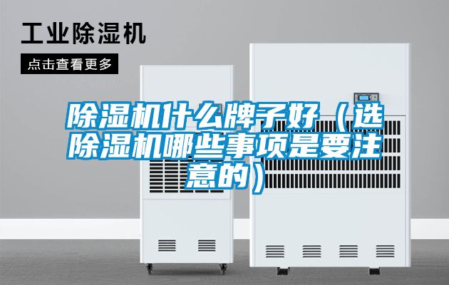 除湿机什么牌子好（选除湿机哪些事项是要注意的）