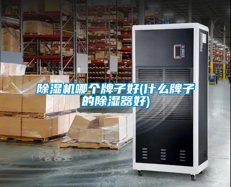 除湿机哪个牌子好(什么牌子的除湿器好)