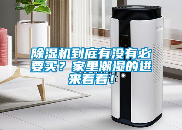 除湿机到底有没有必要买？家里潮湿的进来看看！