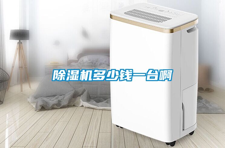 除湿机多少钱一台啊