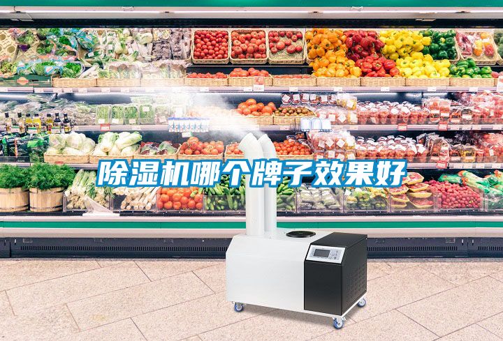 除湿机哪个牌子效果好