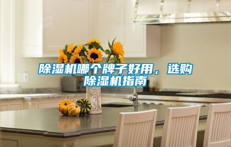 除湿机哪个牌子好用，选购除湿机指南