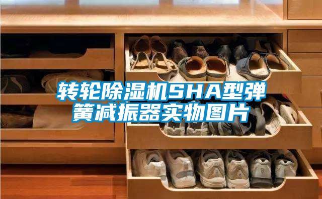 转轮除湿机SHA型弹簧减振器实物图片