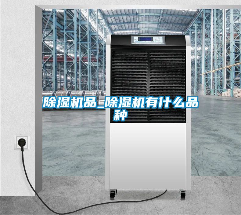 除湿机品_除湿机有什么品种