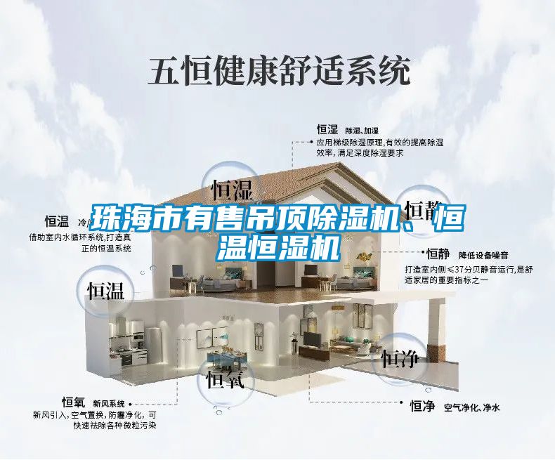 珠海市有售吊顶除湿机、恒温恒湿机