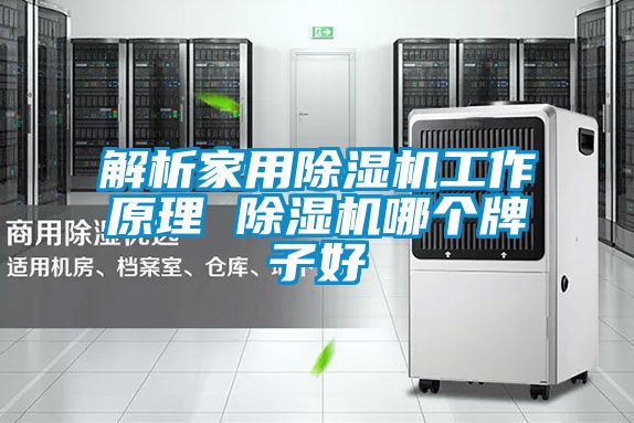 解析家用除湿机工作原理 除湿机哪个牌子好