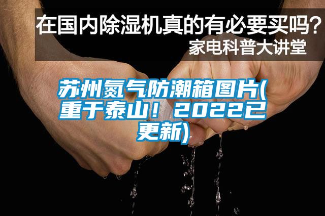 苏州氮气防潮箱图片(重于泰山!2022已更新)