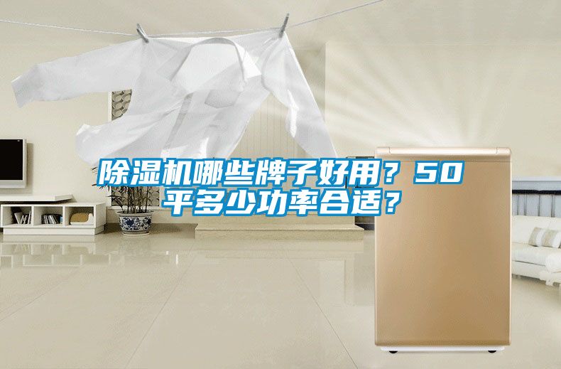 除湿机哪些牌子好用？50平多少功率合适？