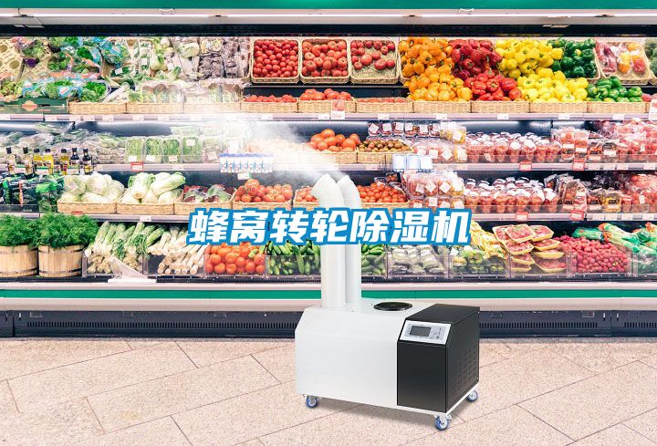 蜂窝转轮除湿机