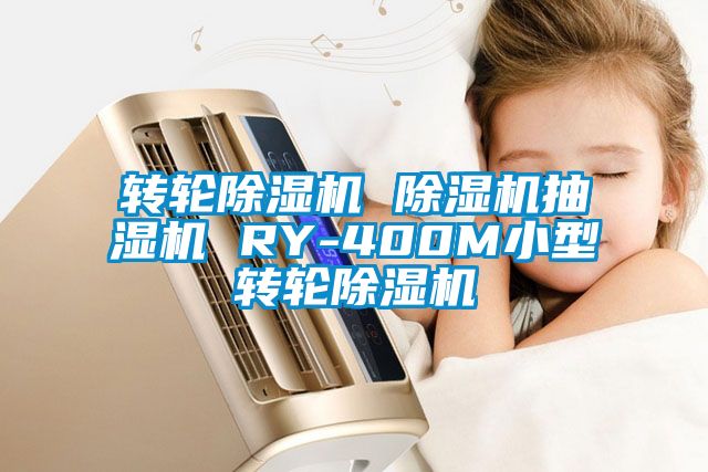 转轮除湿机 除湿机抽湿机 RY-400M小型转轮除湿机
