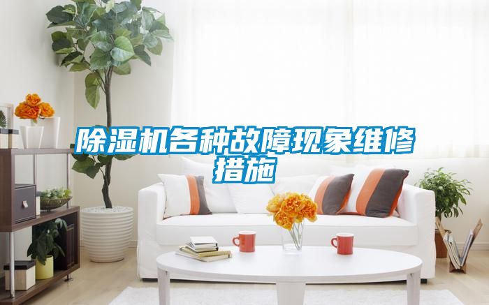 除湿机各种故障现象维修措施