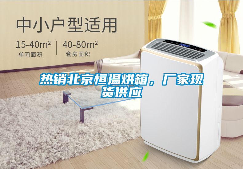 热销北京恒温烘箱，厂家现货供应