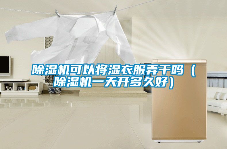 除湿机可以将湿衣服弄干吗（除湿机一天开多久好）