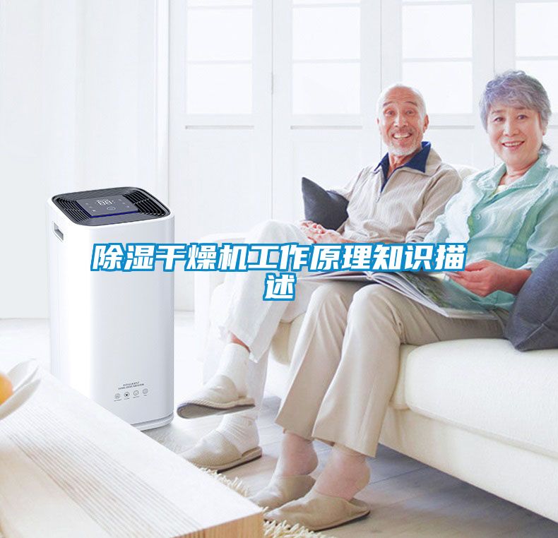 除湿干燥机工作原理知识描述
