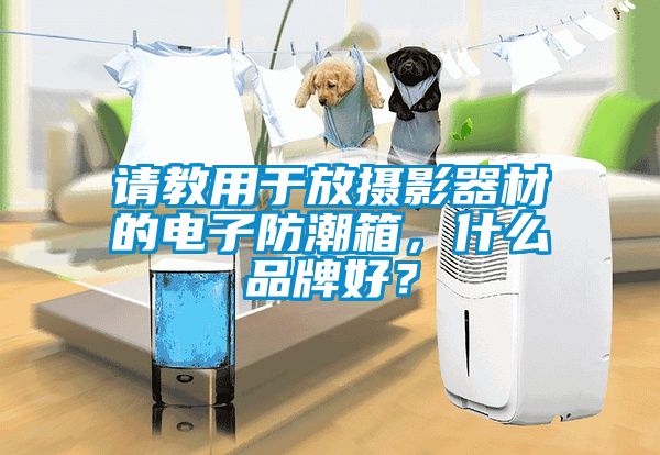 请教用于放摄影器材的电子防潮箱，什么品牌好？