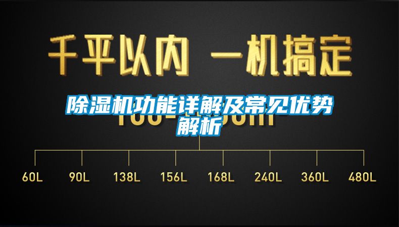 除湿机功能详解及常见优势解析