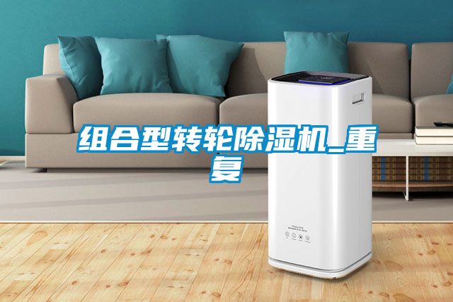 组合型转轮除湿机_重复
