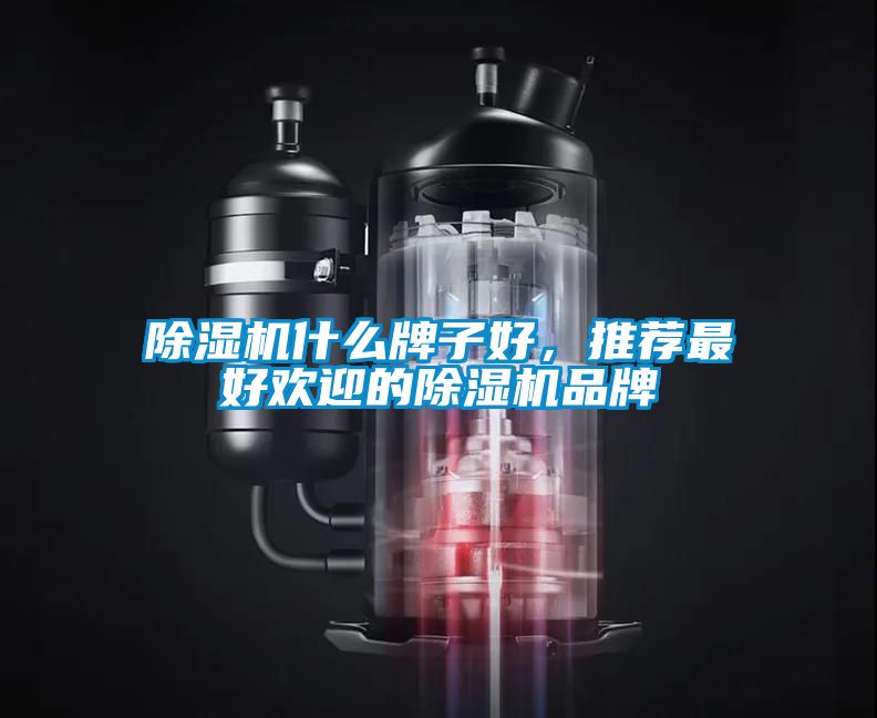 除湿机什么牌子好，推荐最好欢迎的除湿机品牌
