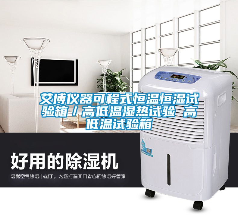 艾博仪器可程式恒温恒湿试验箱／高低温湿热试验 高低温试验箱