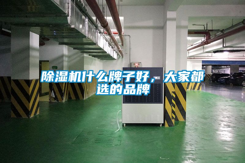 除湿机什么牌子好，大家都选的品牌